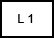 L1