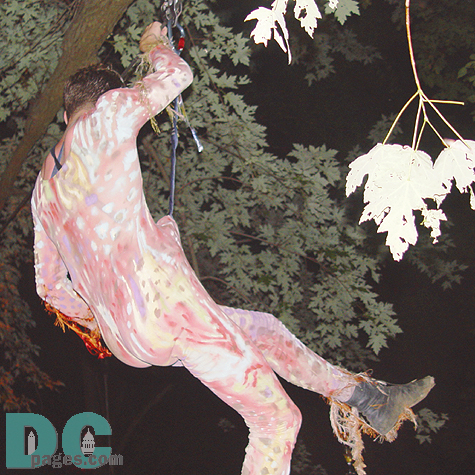 Zipping above the dance floor. 