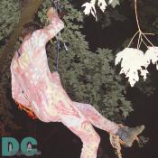 Zipping above the dance floor. 