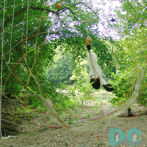 A feather dangles in this Jungle Dream. 