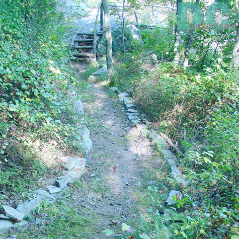 Offutt Island - Approaching a crib ladder (a natural staircase built with native materials). 