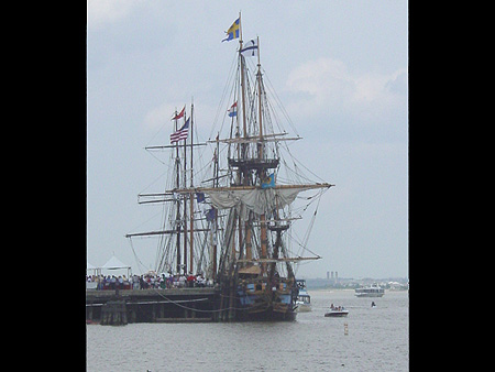 The event was designed to celebrate the clean up of the Alexandria waterfront over 20 years ago, that has evolved into a celebration of much more. 
