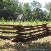 Split rail fence is traditionally built in a zig zag fashion. No nails are used. This fence is portable, so it can be moved.