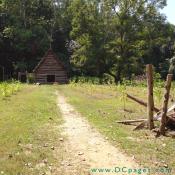 Pathway to the tobacco barn. 