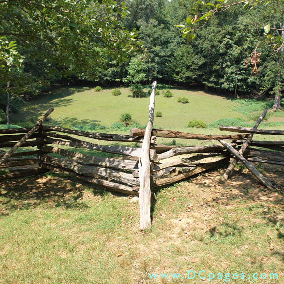 Cow pasture where the animals graze.