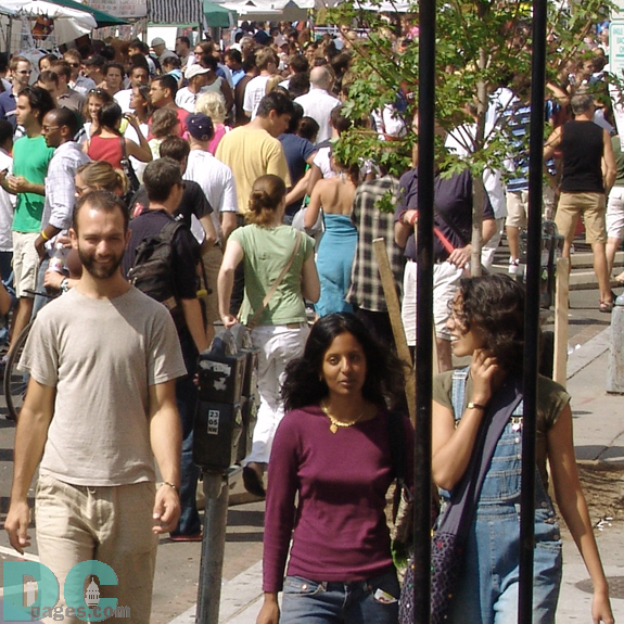 A diverse crowd attended the festival