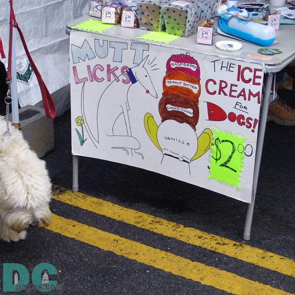 This dog starts to drool over MUTT LICKS - THE ICE CREAM FOR DOGS! 