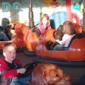 Learning how to drive on a typical traffic jam.