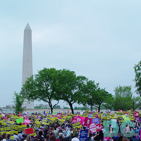 Hundreds of marchers on Constitution Avenue.
