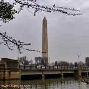 Wednesday, 4:24 pm EST, March 19, 2008, Cherry Blossom View of the Washington Monument and Kutz Bridge.