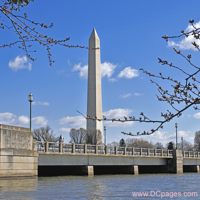 Thursday, March 20, 2008 10:05 am EST, Cherry Blossom View of Washington Monument