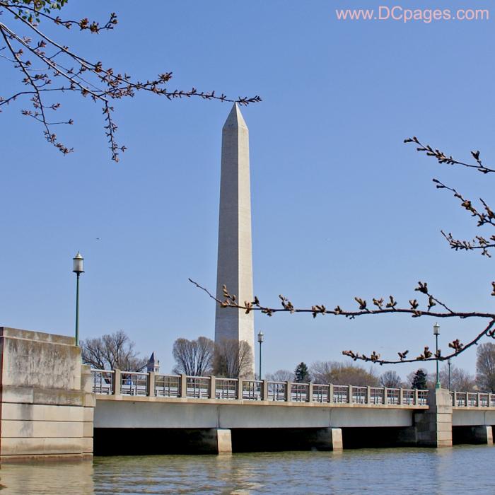 Friday, March 21, 10:35 am EST, Cherry Blossom View of Washington Monument