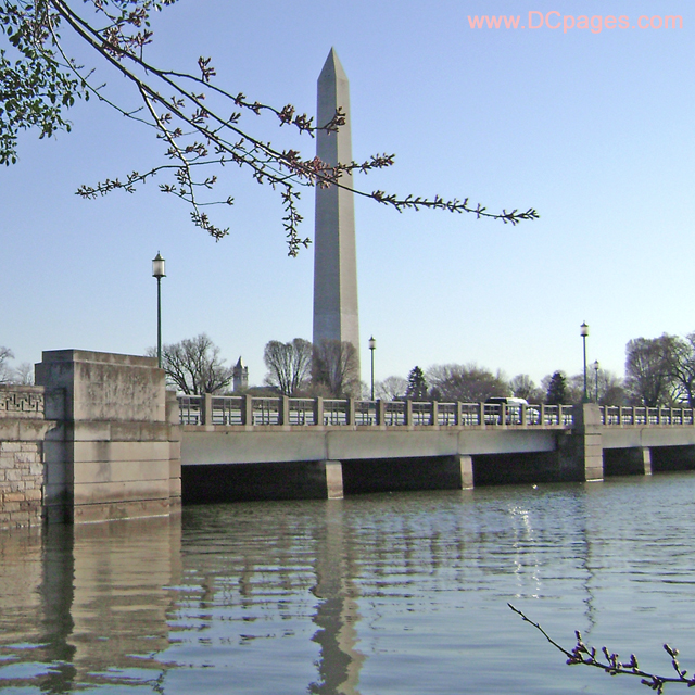 Easter Sunday, March 23, 2008 Cherry Blossom View of the Washington Monument