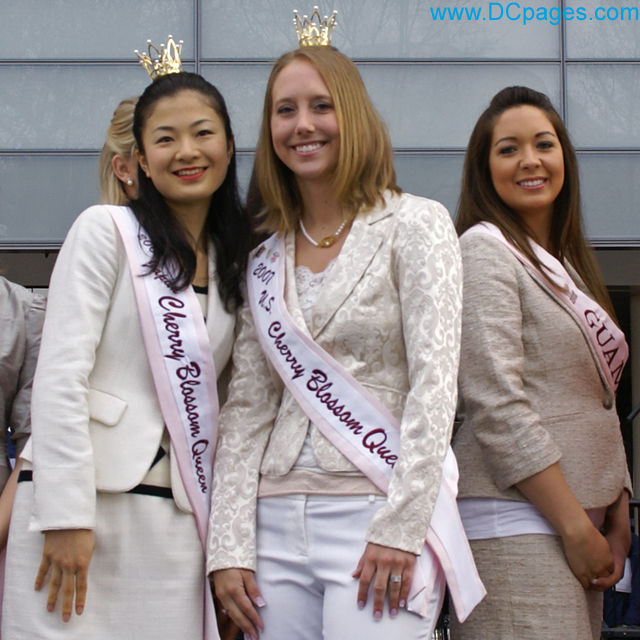 Cherry Blossom Princesses