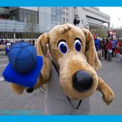 Newseum Newshound