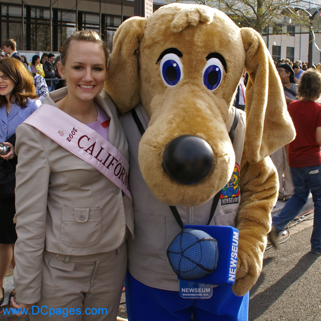 Cherry Blossom Princess with Newshound