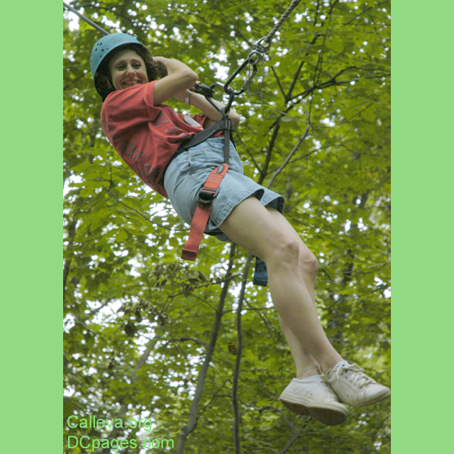 Being lifted into the tree-tops, by encouraging co-workers.