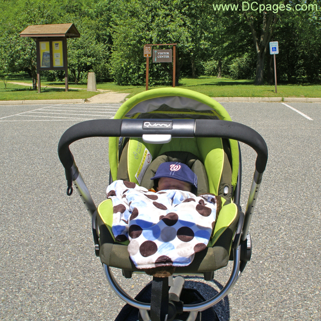 Baby Luke at Kenilworth Aquatic Gardens