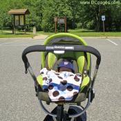 Baby Luke at Kenilworth Aquatic Gardens