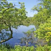 Kenilworth Aquatic Gardens