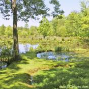 Kenilworth Aquatic Gardens