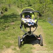 Luke Jr. at Kenilworth Aquatic Gardens