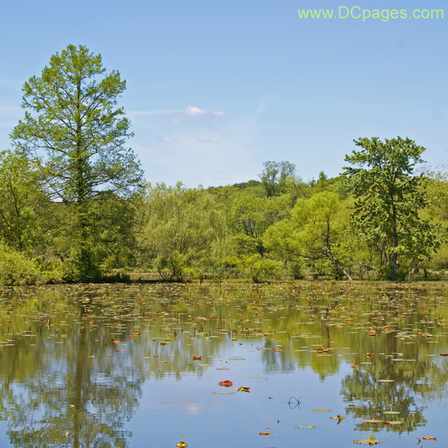 Kenilworth Aquatic Gardens
