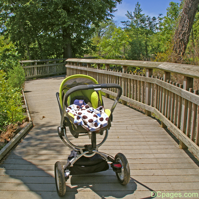 Kenilworth Marsh Interpretive Boardwalk
