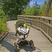 Kenilworth Marsh Interpretive Boardwalk