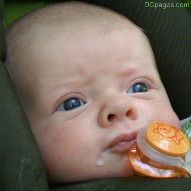 Baby Luke enjoyed Kenilworth Aquatic Gardens