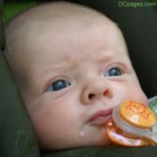 Baby Luke enjoyed Kenilworth Aquatic Gardens