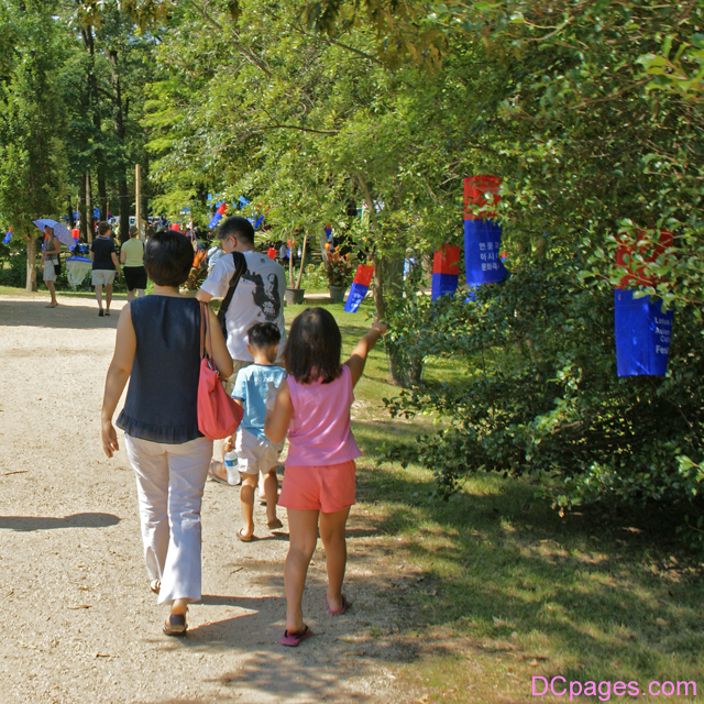 Festival Lanterns