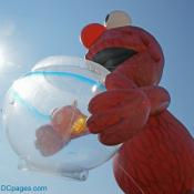 Elmo and his pet fish