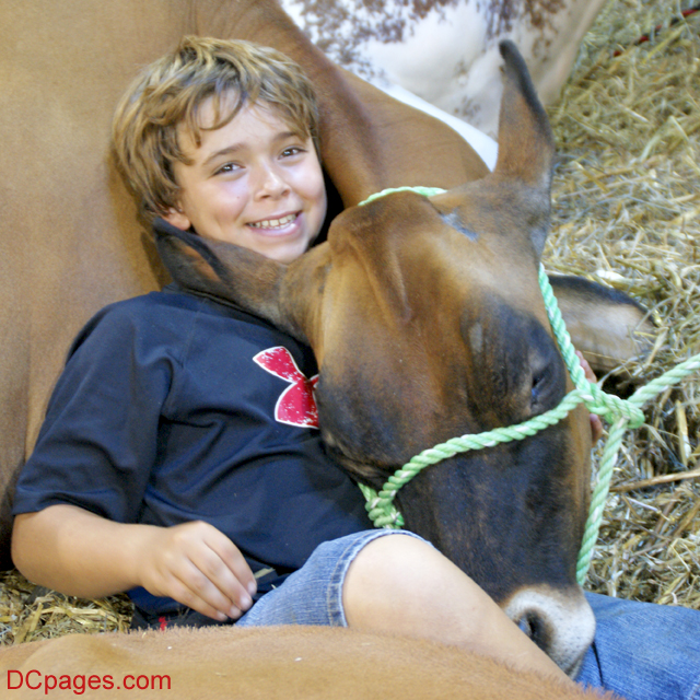 Happyness for Me is the Love of My Favorite Cow
