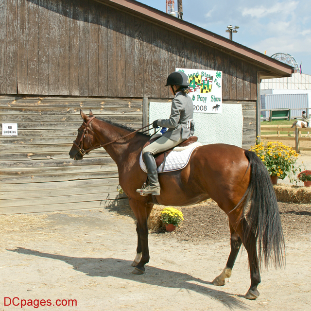 Horse Back Riding