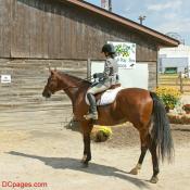 Horse Back Riding