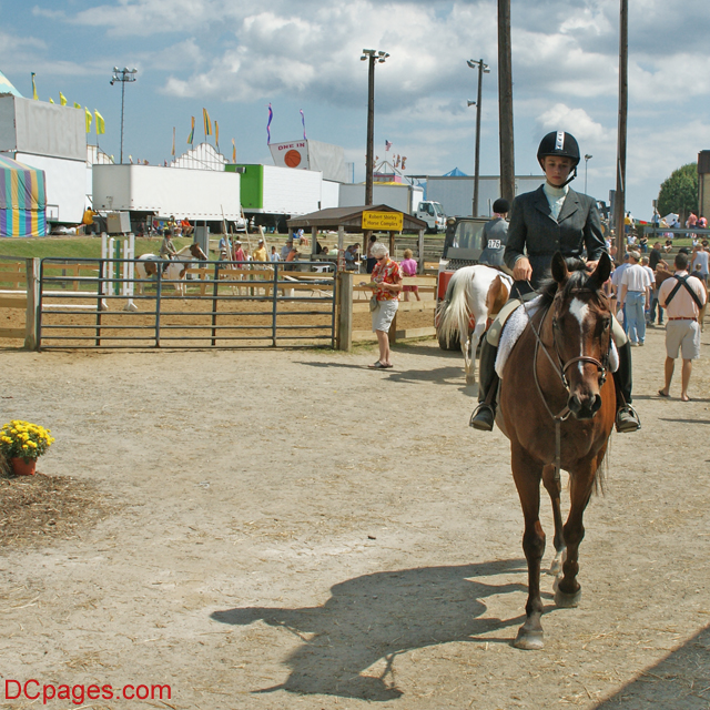 Horse Superstitions