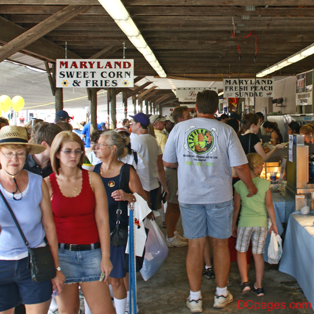 Snack Time at The Maryland State Fair