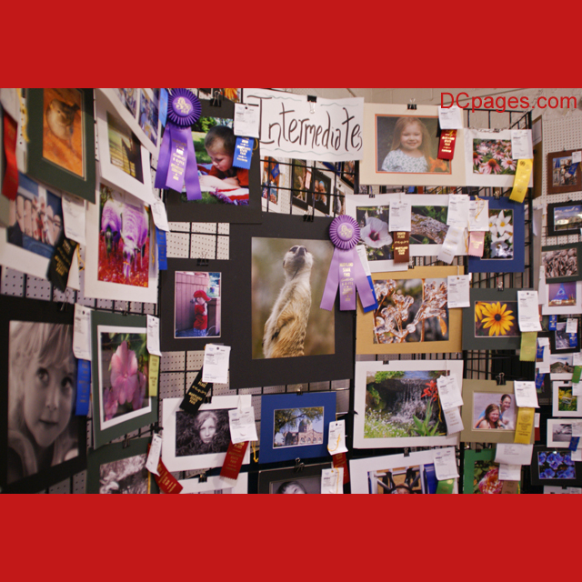 Photo Contest Winners