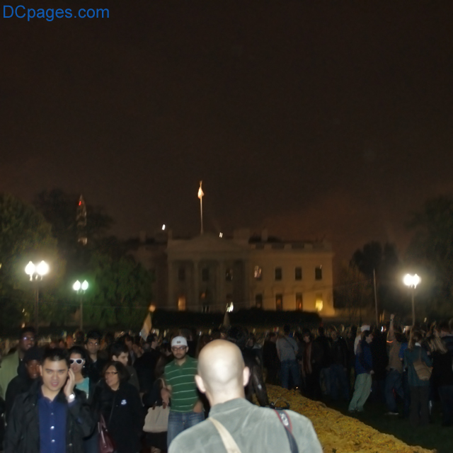 Democrats Win the Election! Obama Victory Celebration!