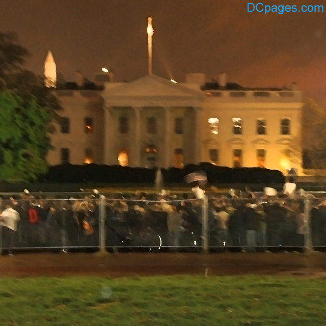 Democrats Win the Election! Obama Victory Celebration!