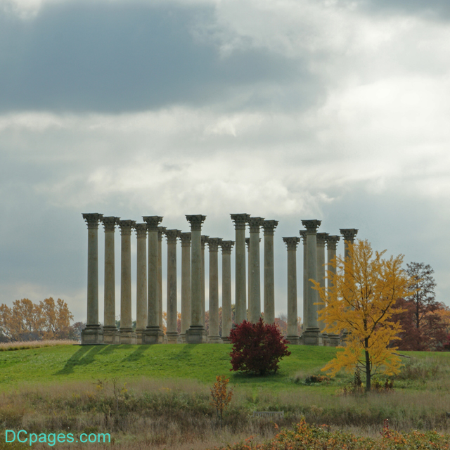 National Capitol Columns