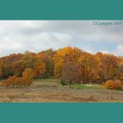 The National Arboretum - Capitol Columns Exhibit