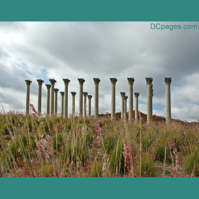 The National Arboretum - Capitol Columns Exhibit