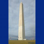 56th Presidential Inauguration Construction