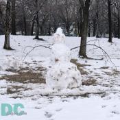 A large white snowman slid down toward Denali. "I heard you were looking for Frosty, said the snowman. Well here I am." The young dog could not believe her eyes. "If you would like to interview the rest of my family, we will have to hurry for they will not be here for long." Denali followed Frosty in the snow.