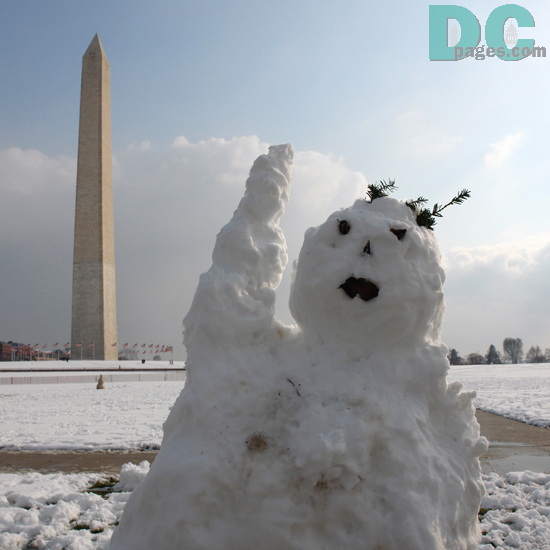 Denali met Cindy, a snow tourist from North Pole, Alaska. "I never realized Washington was such wonderland, I am glad to have the opportunity to see this great city!" 