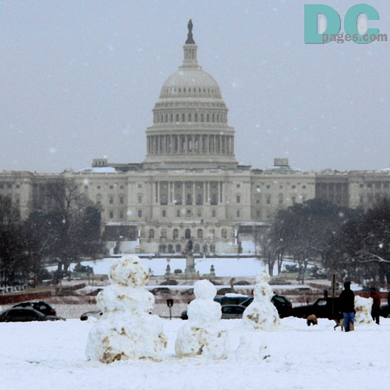Denali got the chance to meet the Winters, a snow family from the Neatherlands. "Your Capitol building rivals Santa's castle." 