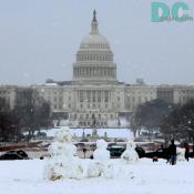 Denali got the chance to meet the Winters, a snow family from the Neatherlands. "Your Capitol building rivals Santa's castle." 