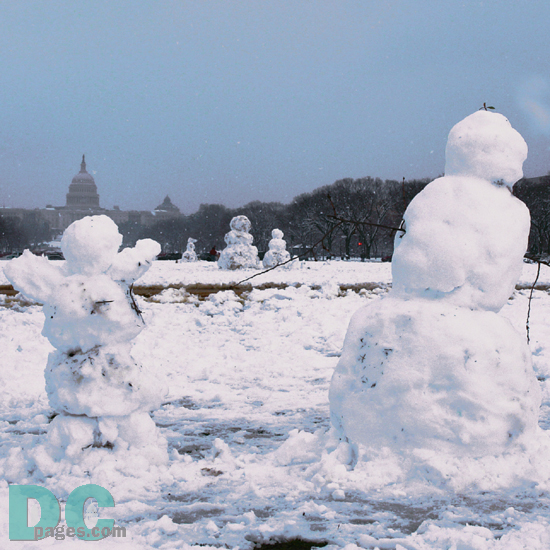 Snowball is a popular sport with snow people. Denali watched them game from a safe distance.
